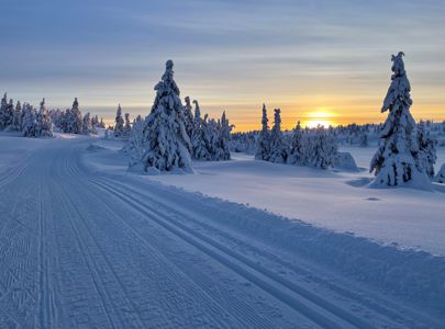 Cross-Country Skiing in Norway | Discover Norway