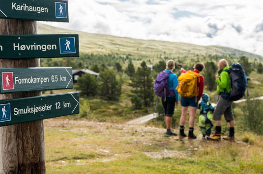 Fottur i Rondane | Walk the Explore Rondane Route | Discover Norway