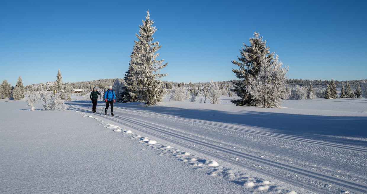 Hiking, Biking and Skiing | Discover Norway