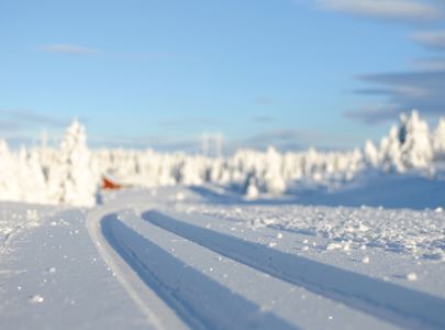 Cross-Country Skiing in Norway | Discover Norway