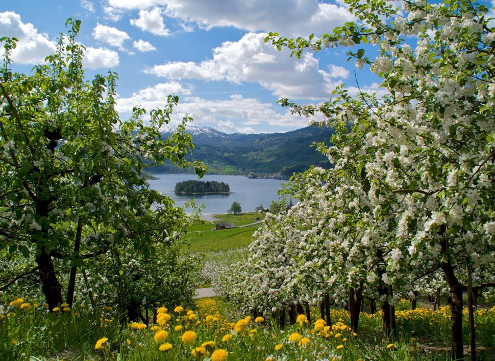 Sykkeltur i Hardanger | Bike tour around the Hardanger Fjord | Discover Norway