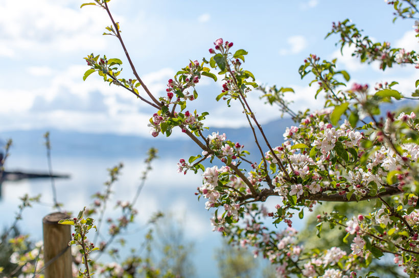 Sykkeltur i Hardanger | Bike tour around the Hardanger Fjord | Discover Norway