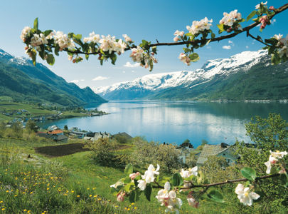 Hardangerfjord Adventure Norway | Discover Norway