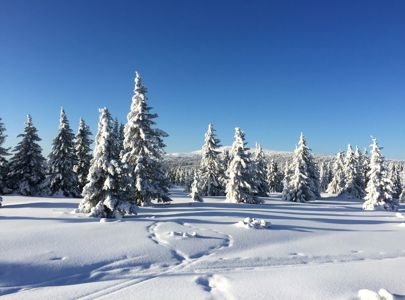 Skitur sør i Trolløypa | Ski tour in the south part of the Troll Trail | Discover Norway