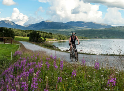 Sykkeltur fra Røros til Trondheim | Bike from historic Røros to charming Trondheim | Discover Norway