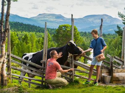 Sykkeltur fra Røros til Trondheim | Bike from historic Røros to charming Trondheim | Discover Norway